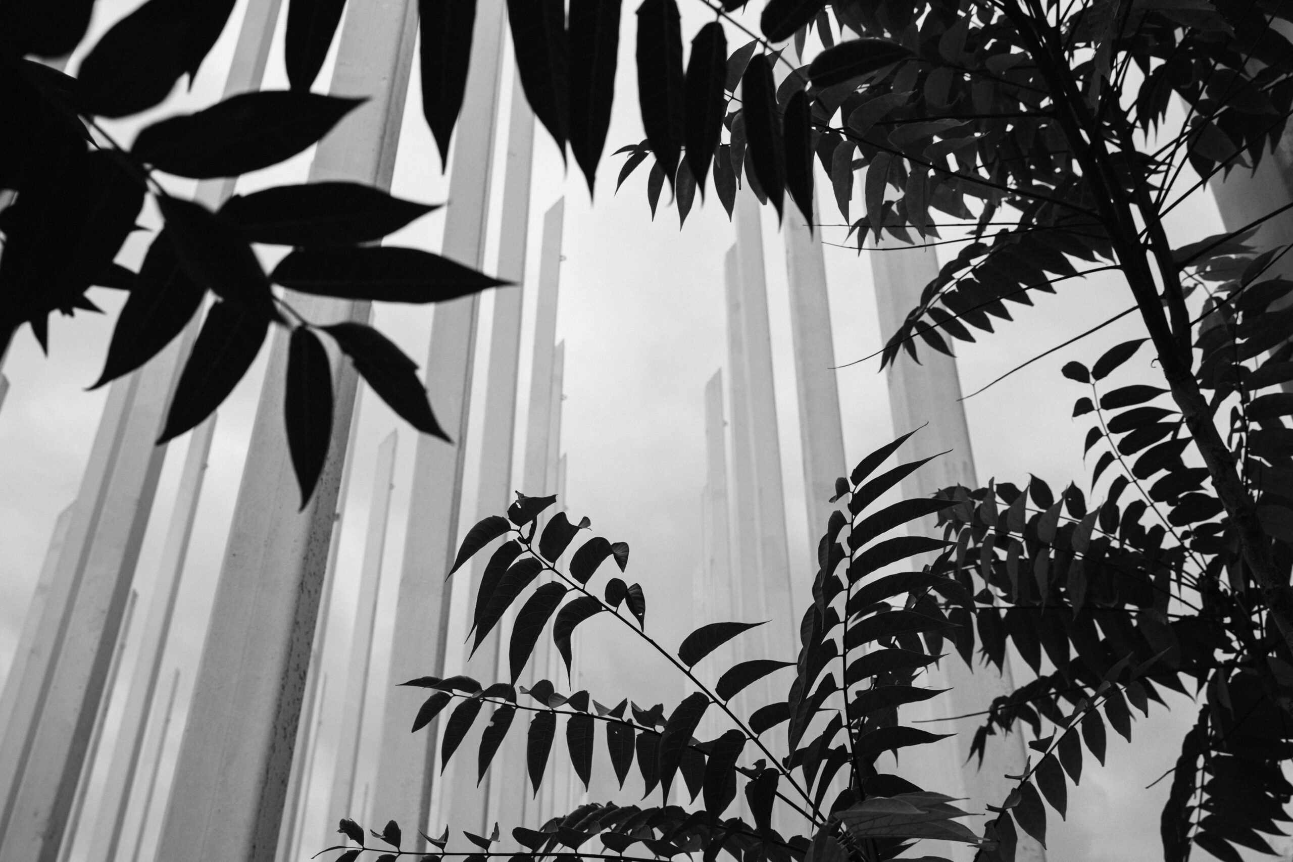 Fragments of time_11