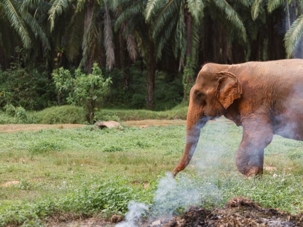 Thailand_048 (cover photo)